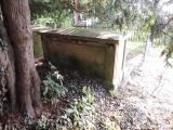 image of grave number 560432